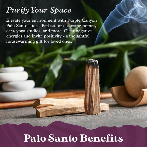 Purple Canyon Palo Santo Incense Sticks - 8 Pack | Sustainably Harvested Natural Incense for Smudging, Meditation, Cleansing, and Stress Relief...