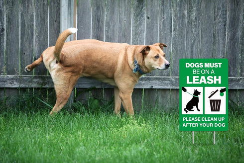 WaaHome No Dog Poop Sign for Yard Lawn with Stakes 8"X12" Clean Up After Your Dog Sign Dogs Must Be On A Leash Sign No Pee No Pooping Dog Sign, Do...