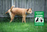WaaHome No Dog Poop Sign for Yard Lawn with Stakes 8"X12" Clean Up After Your Dog Sign Dogs Must Be On A Leash Sign No Pee No Pooping Dog Sign, Do...
