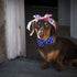 Lionheart glory American Flag Dog Collar 4 of July Dog Bow Collar Independence Day Heavy Duty Adjustable Patriotic Dog Collar with Bowtie for Larg...