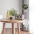 Hollyone Mini Artificial Potted Plants Fake Plants in Marble Pots, 1Pcs Plastic Eucalyptus Greenery Faux Plants for Home Office Desk Room Centerpi...