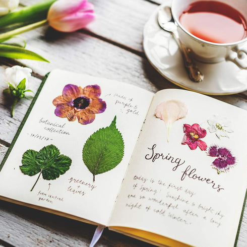Nuanchu 223 Pcs Real Dried Pressed Flowers for Crafts Natural Dried Leaves and Butterfly Stickers Set Colorful Daisy Flowers and Adhesive Butterfl...