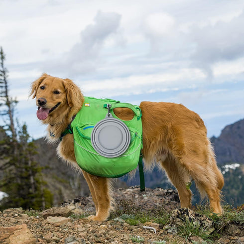 OHMO-Collapsible Dog Water Bowl No Spill from Car Movement(24oz Medium, Ash), Travel Dog Bowls, Less Splash Portable Pet Bowl for Road Trip, Cat T...