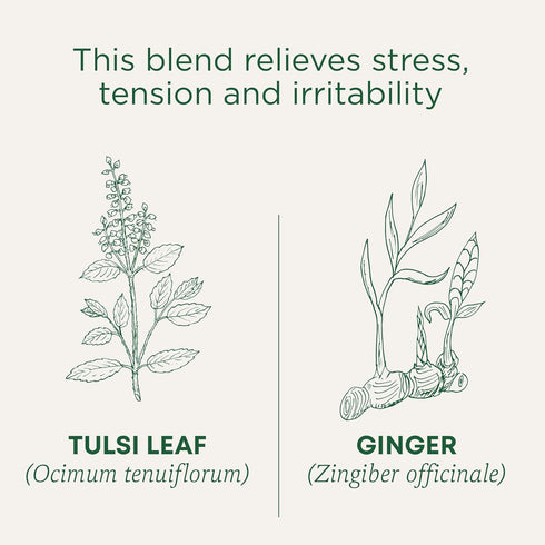 Traditional Medicinals Tea, Organic Tulsi & Ginger, Relieves Stress, Tension, & Irritability, 16 Tea Bags...