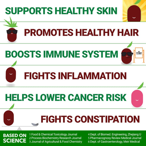 USDA Organic California Grown Pure Jujube Product | JUJUME Crisps | Sweet Jujube Chips | ZERO Added Sugar or Preservatives | All-Natural Healthy S...