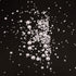 SAVITA 5600Pcs 2/3/4/5/6/8/10mm White Flat Back Pearl Half Round Pearls Beads Satin Luster Loose Beads Gems for DIY Craft Necklaces Bracelets Jewe...