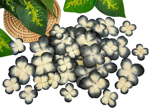 Handmade Hydrangeas Petals Flowers Mulberry Paper Flower Patch Scrapbooking Wedding DIY Craft Supplies Card Mini Artificial Paper Flowers (Black &...
