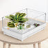 Reptile Artificial Plants, Terrarium Plants Decorations Supplies, Aquarium Fish Tank Plant, Amphibian Habitat Hideout Tank Accessories(L Set-3pcs/...