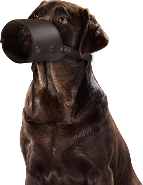 Thick Dog Muzzle Guard, Secure Training Cover, Mouth Guard Mask Prevents Biting Chewing, Anti Barking, Full Grain Leather, Handmade (XL)...