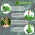 2 Pack 25 Inch Coco Coir Moss Poles for Climbing Indoor Plants - Handmade Plant Support for Creepers to Grow Upwards...