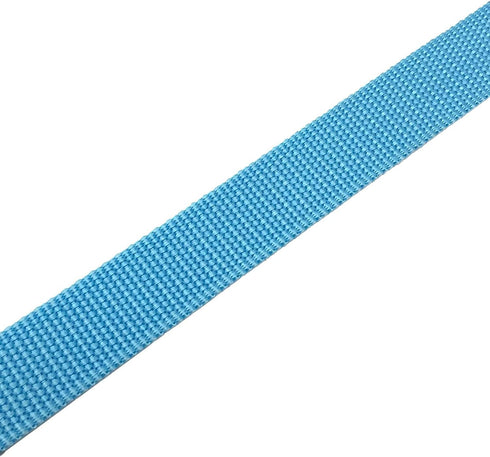 4FT/5FT/6FT Strong Dog Leash, Nylon Dog Leashes for Small Medium Large Dogs (Blue, 1 in x 15 ft)...