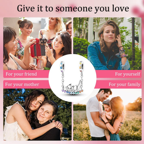 Parmuz 925 Sterling Silver Charm for Charm Bracelet Necklace Dream catcher Feathers Tassel charm lucky Chameleon cat dangle charm Beads Birthday C...