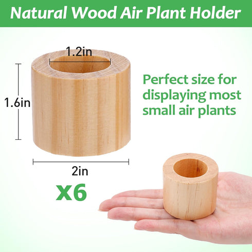 Set of 6 Wood Air Plant Holder- Rustic Style Air Plant Pots Indoor Decorative Air Plants Display Containers Table Centerpiece for Home Office Tabl...