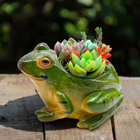 Set of 2 Frog Planter Resin Frog Flower Pot, Bonsai Pot/Flower Pot/Succulent Planter?Multipurpose Pot for Indoor Home Desk Decoration...