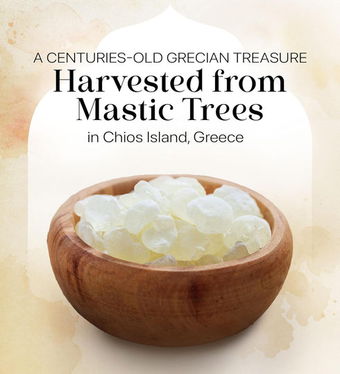Cerez Pazari Natural Mastic Gum 0.88 oz (25g), Greek Chios Pure Resin, Sugarless Gum Made From Resin Of Mastiha Trees, Jaw Exerciser, Vegan, Non-G...