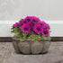 Elly Décor Plastic Cantera Planter 10x5 in. Pot Cantera Design Decorative for Indoor and Outdoors Plants Round Flower Pot White cantera...