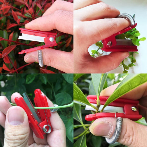 3 Pack Multifunctional Gardening Thump Knife Garden Cutter Finger Fruit Picker Hand Pruner for Vegetable Trimming Separator Harvesting Picking Far...