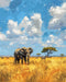 shinefly Paint by Numbers for Adults Beginners Home Acrylic Paint by Numbers Kits for Kids on Canvas 16x20 inch, African Elephant...