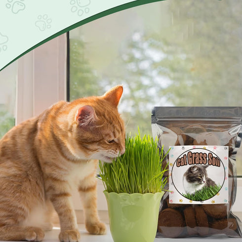Organic Potting Soil for Indoor Cat Grass, Great Seedling Soil for Wheat Grass, bermuda, catnip, and All Indoor Herb Plants...