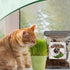 Organic Potting Soil for Indoor Cat Grass, Great Seedling Soil for Wheat Grass, bermuda, catnip, and All Indoor Herb Plants...