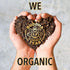 Buddha Teas Organic Wild Cherry Bark Tea - OU Kosher, USDA Organic, CCOF, 18 Bleach-Free Tea Bags...