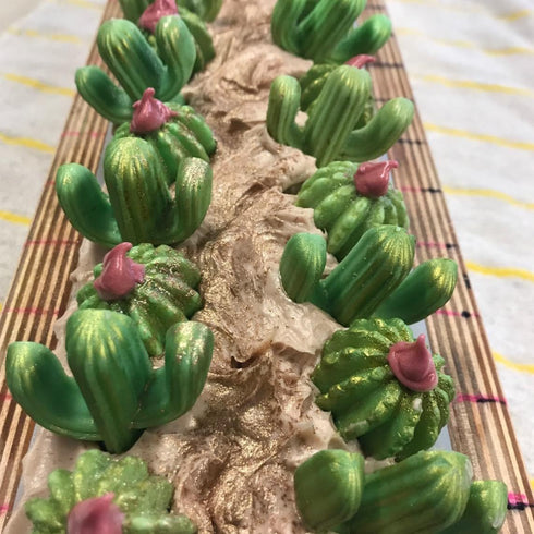 2-Pack Cactus Silicone Molds Set - MoldFun Cacti Mold for Fondant, Gum Paste, Chocolate, Candy, Candle, Polymer Clay...