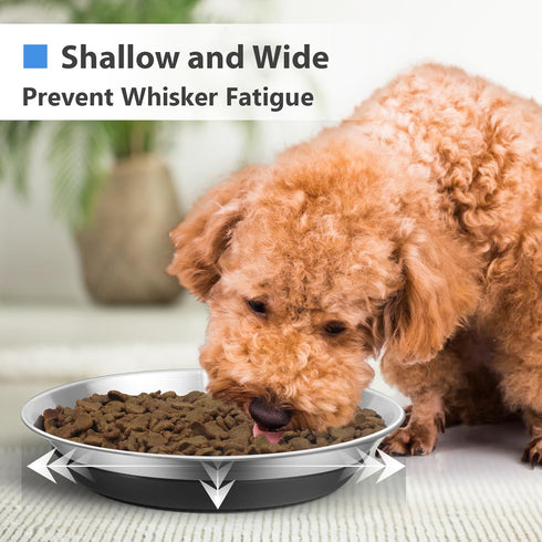 Premium Stainless Steel Dog Bowls - Non-Slip, 2.5 Cups Capacity, Durable and Safe for Your Beloved Pet...