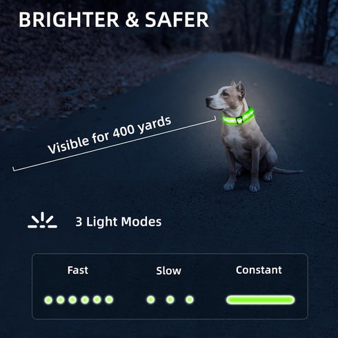 PetIsay Light up Dog Collar - High Visibility & Durable Nylon Material - USB C Rechargeable & Waterproof LED Dog Collar for Night Walking,Lighted ...