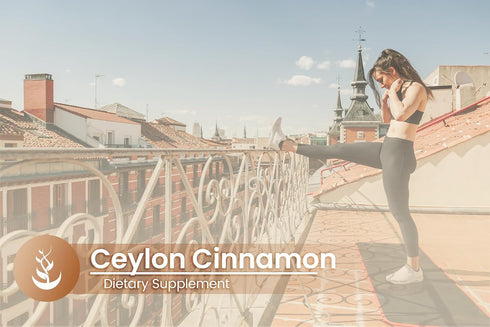 PURE ORIGINAL INGREDIENTS Ceylon Cinnamon, Always Pure, No Additives Or Fillers, Lab Verified...
