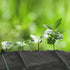 Garden Weed Barrier Landscape Fabric Heavy Duty 3ft x 3ft (1 x 1 Meters) Sheet, Weed Block Ground Cover Gardening Mat for Outdoor Courtyard Flower...