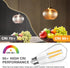 Dimmable Edison Light Bulbs 60 Watt Equivalent, 6W 800LM E26 Vintage LED Light Bulb, 2700K Soft Warm White, ST58 Antique LED Filament Bulbs for Be...