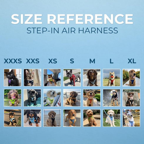 Voyager Step-in Air Dog Harness - All Weather Mesh Step in Vest Harness for Small and Medium Dogs and Cats by Best Pet Supplies - Harness (Black),...