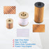 CARMOCAR FD4616 Fuel Filter and FL2016 Oil Filter Replacement for 2003-2007 Ford F250 F350 F450 F550 Super Duty 6.0L 2003-2005 Excursion 6.0L 3C3Z...