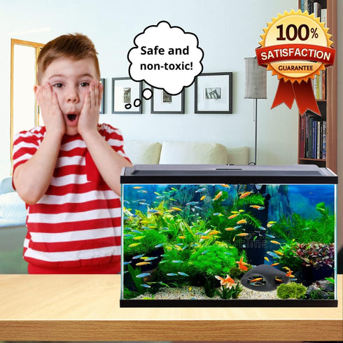 Corisrx Fish Tank...