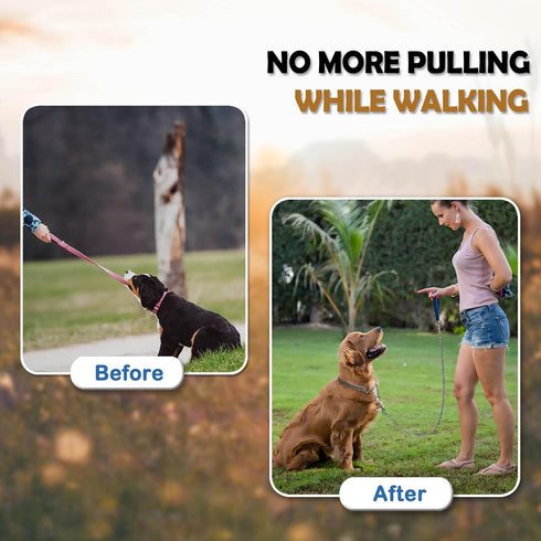 Dog Chain Collar Metal Martingale Collar No Pull Dog Slip Collar Anti Chew Training Collar Chrome Plated Double Link Dog Collar for Large Small Me...