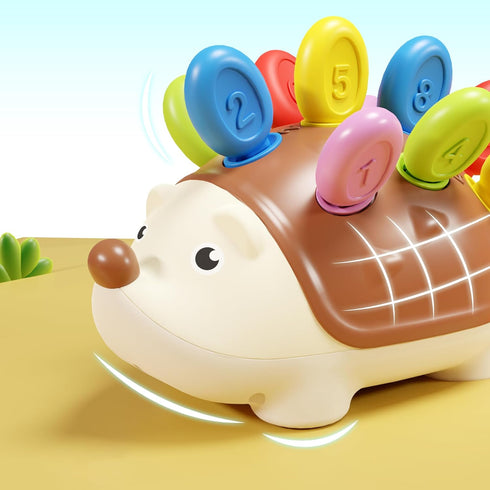 iPlay, iLearn Fine Motor Toys for Toddlers 1-3, Hedgehog Montessorri Learning Educational Counting & Sorter Toy, Development Baby Sensory Gifts fo...