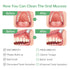 Oral Mucosal Cleaner|Silicon Oral Care Cleaner|Gum Massager with Air Bag(1 pc)...