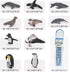 Antarctic Marine Animal Figure Toys Playsets 10 PCS Blue whale, sperm whale, albatross, king penguin, seal Model Toy Desktop Decoration Collection...