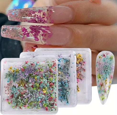 3D Dried Flower for Nails, Flower Nail Art Stickers 1Box Mixed Dried Flowers for Nail Art Resin DIY Crafts Natural Real Dry Flower Decals for Spri...