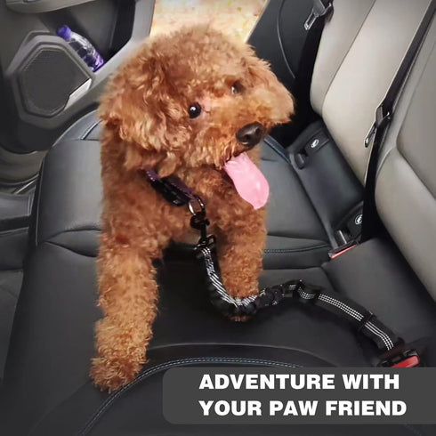 Dog Seat Belt,Retractable Dog Seatbelts Harness for Car,Adjustable Seatbelt Pet Safety Seat Belts with Elastic Bungee Buffer and Restraint Reflect...