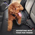 Dog Seat Belt,Retractable Dog Seatbelts Harness for Car,Adjustable Seatbelt Pet Safety Seat Belts with Elastic Bungee Buffer and Restraint Reflect...