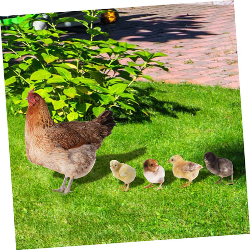 1 Set Hen Chick Ground Plug Yard Decor Yard Sign Simulation Chicken Insert Acrylic Chicken Stake Garden Chicken Decoration Courtyard Insert Garden...