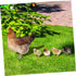 1 Set Hen Chick Ground Plug Yard Decor Yard Sign Simulation Chicken Insert Acrylic Chicken Stake Garden Chicken Decoration Courtyard Insert Garden...