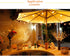 Lights Twig - 60 LED Waterproof & Battery Operated Branch Lights for Vases, Magical Light Up Twigs for Create Christmas Ambience and Lighting Up D...