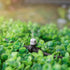 1/4 Inch Drip Irrigation Misting Nozzles Fittings, 30 Pieces Three-Way Atomizing Nozzle with Anti-leak Locked Barbed Irrigation Connector for 1/4 ...