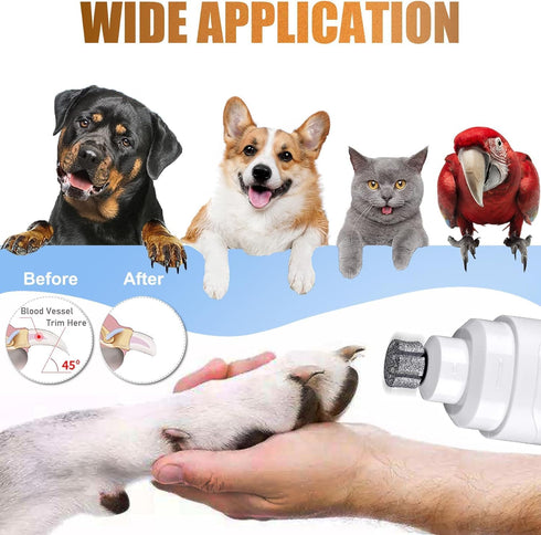 Pet Nail Grinder Bit Sawtooth Head with Fast Cooling & Anti-Clogging, Diamond Dog Nail Grinder Tip Replacement for Claw Care Grooming - 1P 80#...