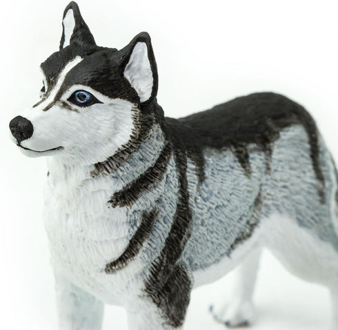 Safari Ltd. Siberian Husky Figurine - Detailed 3.25" Plastic Model Figure - Fun Educational Play Toy for Boys, Girls & Kids Ages 3+...