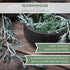 Elanen Naturals Organic Wormwood Herb 8 oz. (227g), USDA Certified Organic Artemisia absinthium, Wormwood Herb Tea, Worm Wood, Ajenjo, Cut & Sifte...