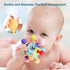 Baby Sensory Teething Toys - Montessori Teether Toys for Babies 0-6 6-12 Months, Infant Developmental Learning Toys for 0 3 6 9 12 18 Months Newbo...