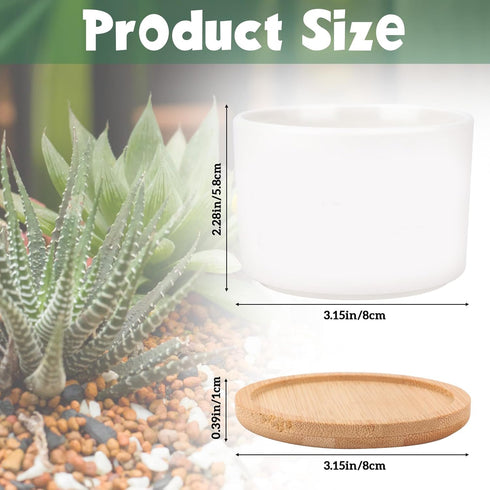 3.2'' Succulent Pots, Mini Succulent Pots Cute Succulent Pots with Woonden Tray Small Ceramic, Girls Women Birthday Gifts Plant Lovers Housewarmin...